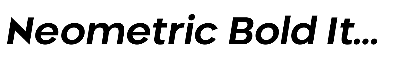 Neometric Bold Italic